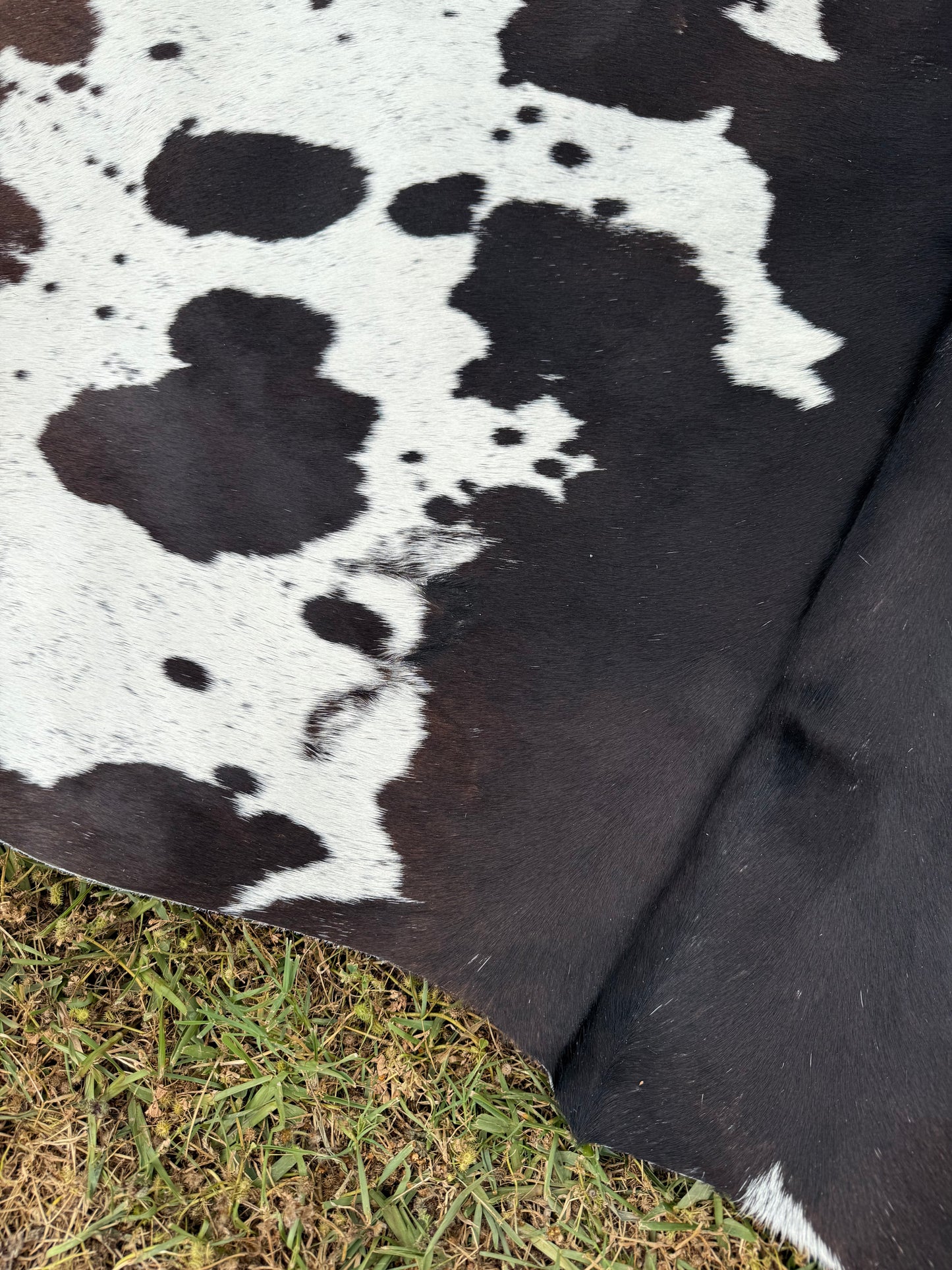 Cowhide Rug 349
