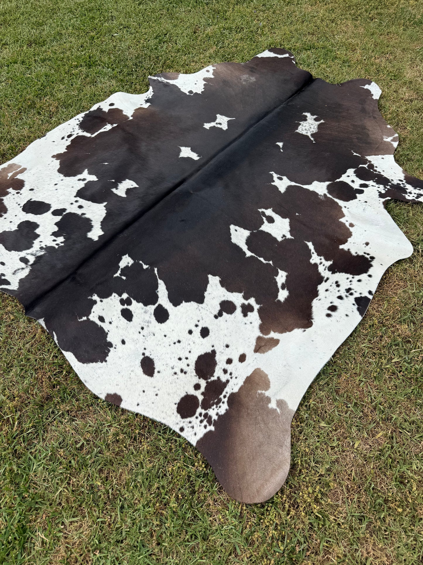 Cowhide Rug 349