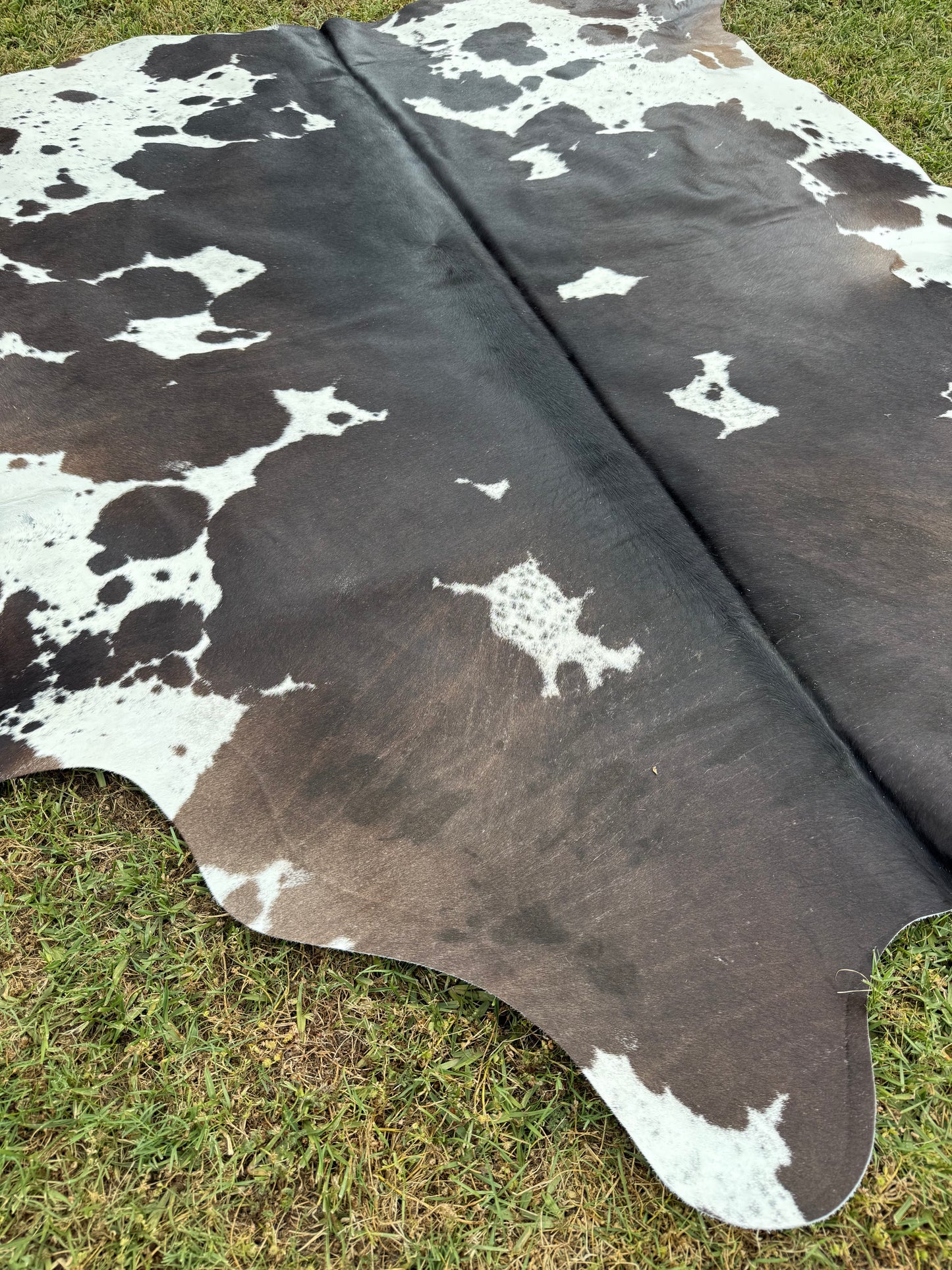 Cowhide Rug 349