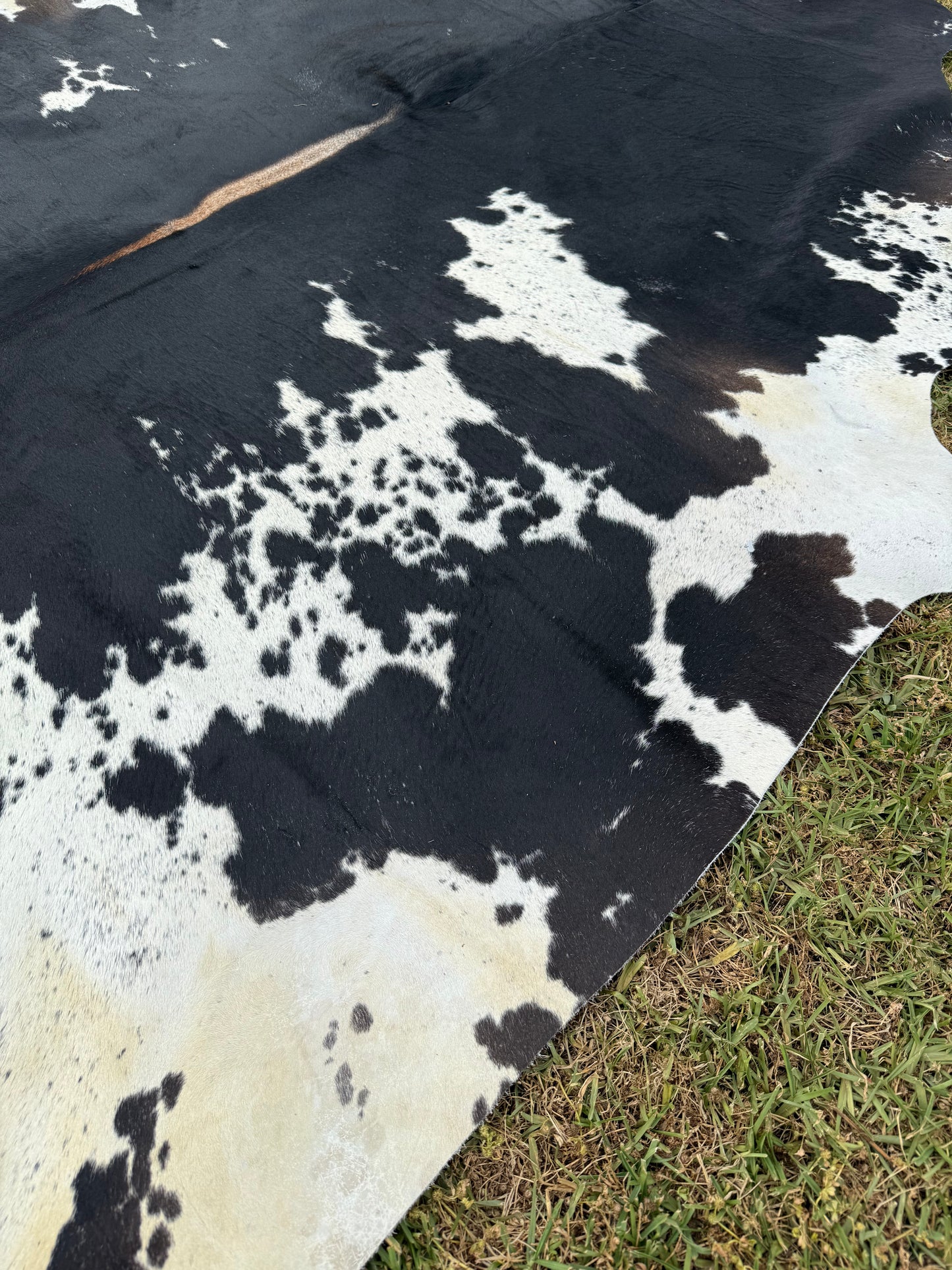 Cowhide Rug 350