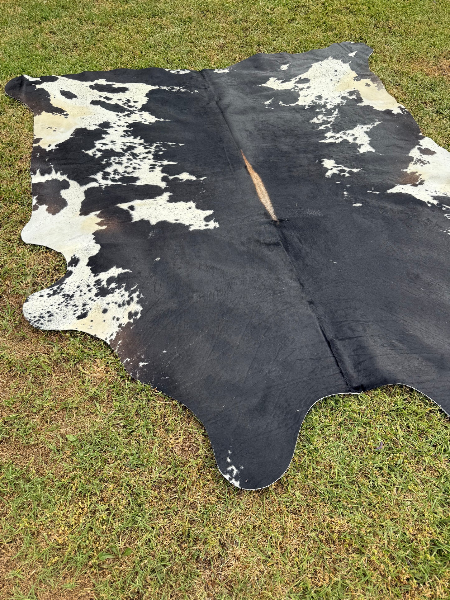 Cowhide Rug 350