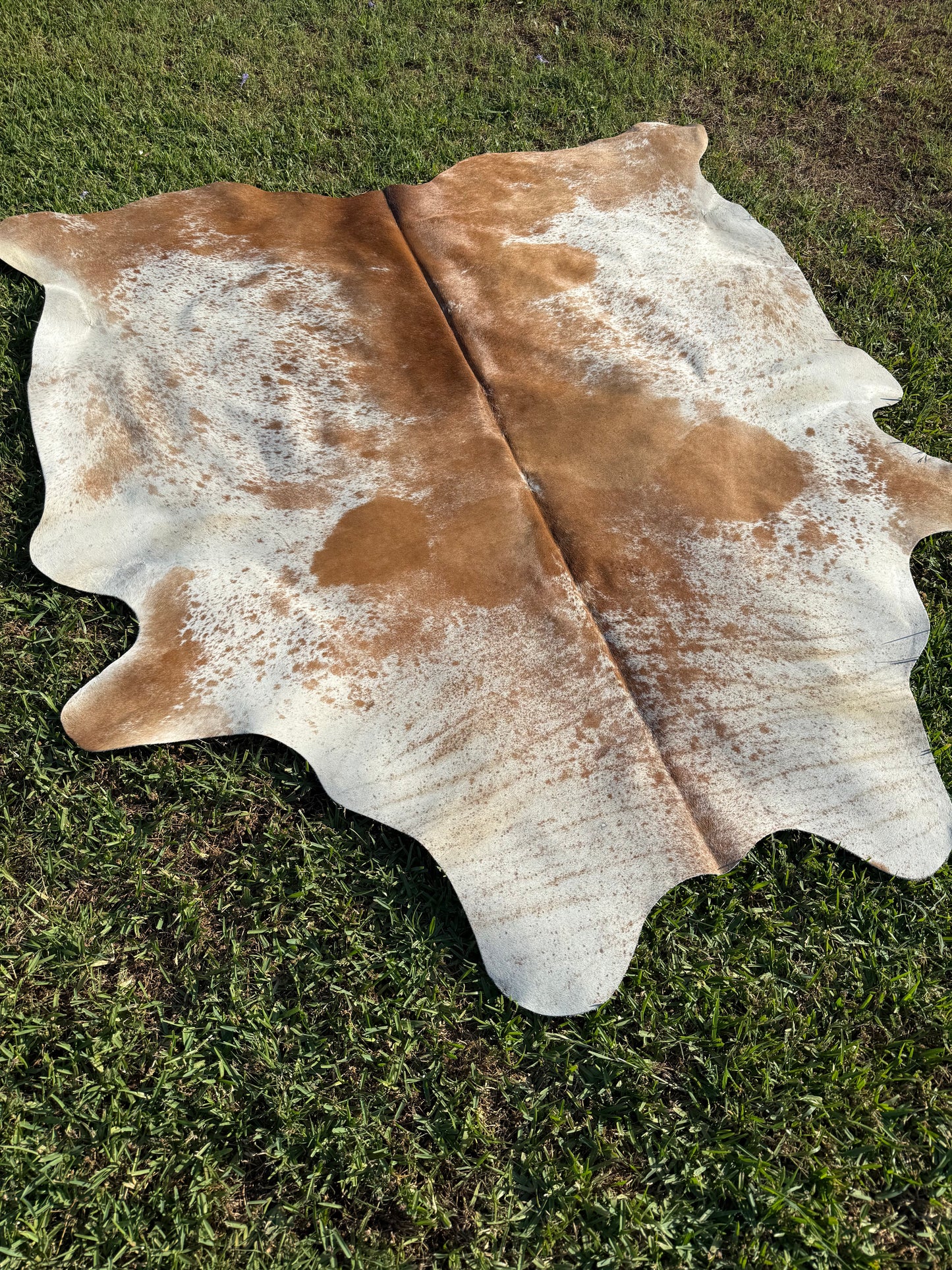 Cowhide Rug 355