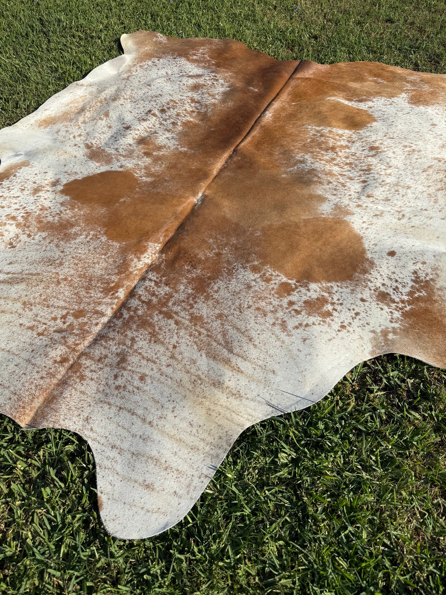 Cowhide Rug 355