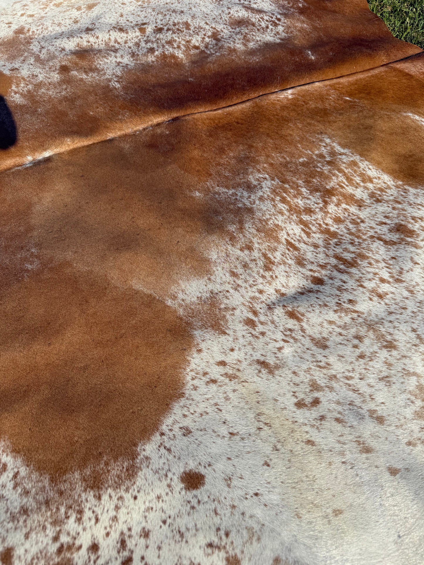 Cowhide Rug 355