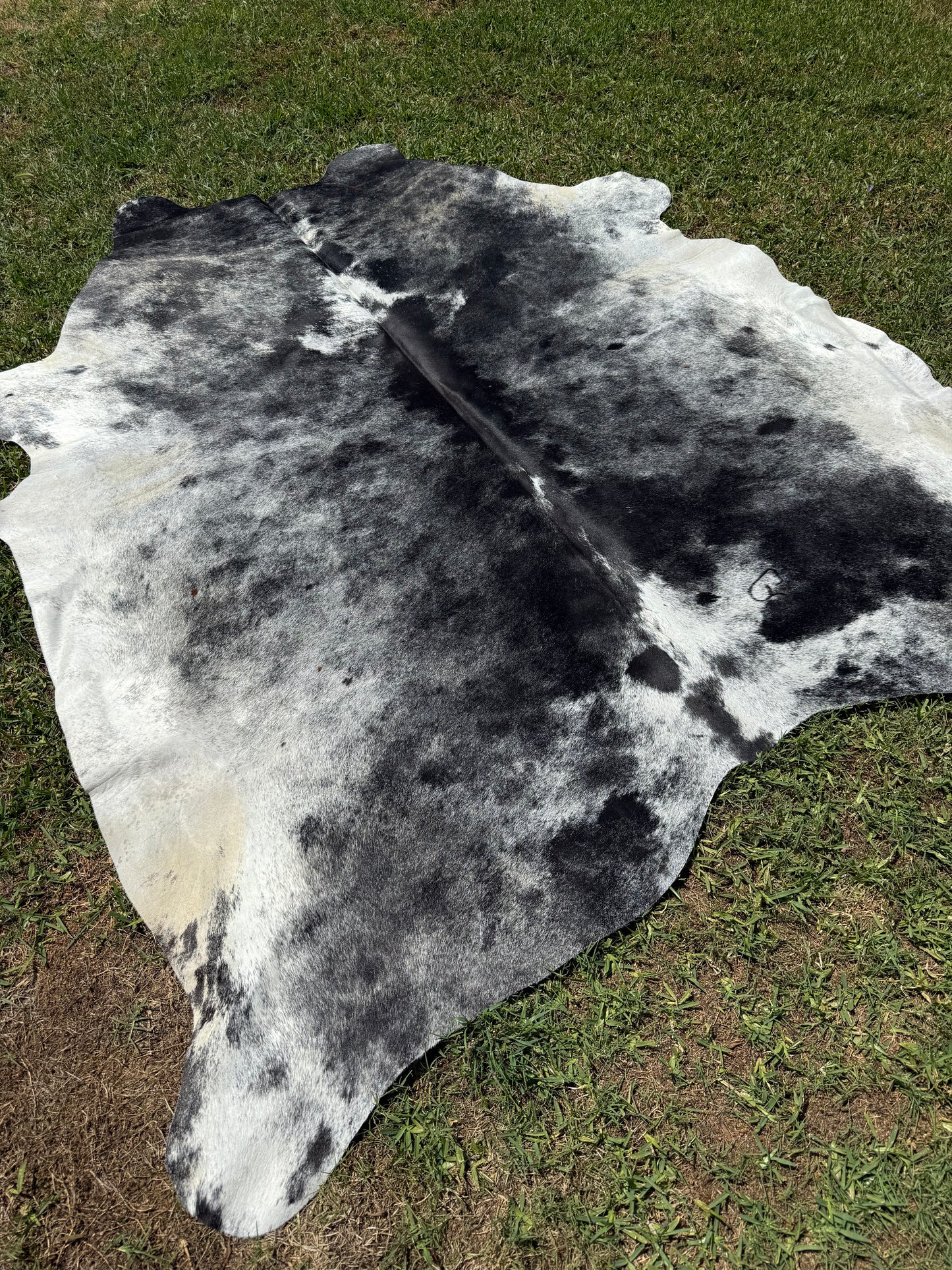Cowhide Rug 361
