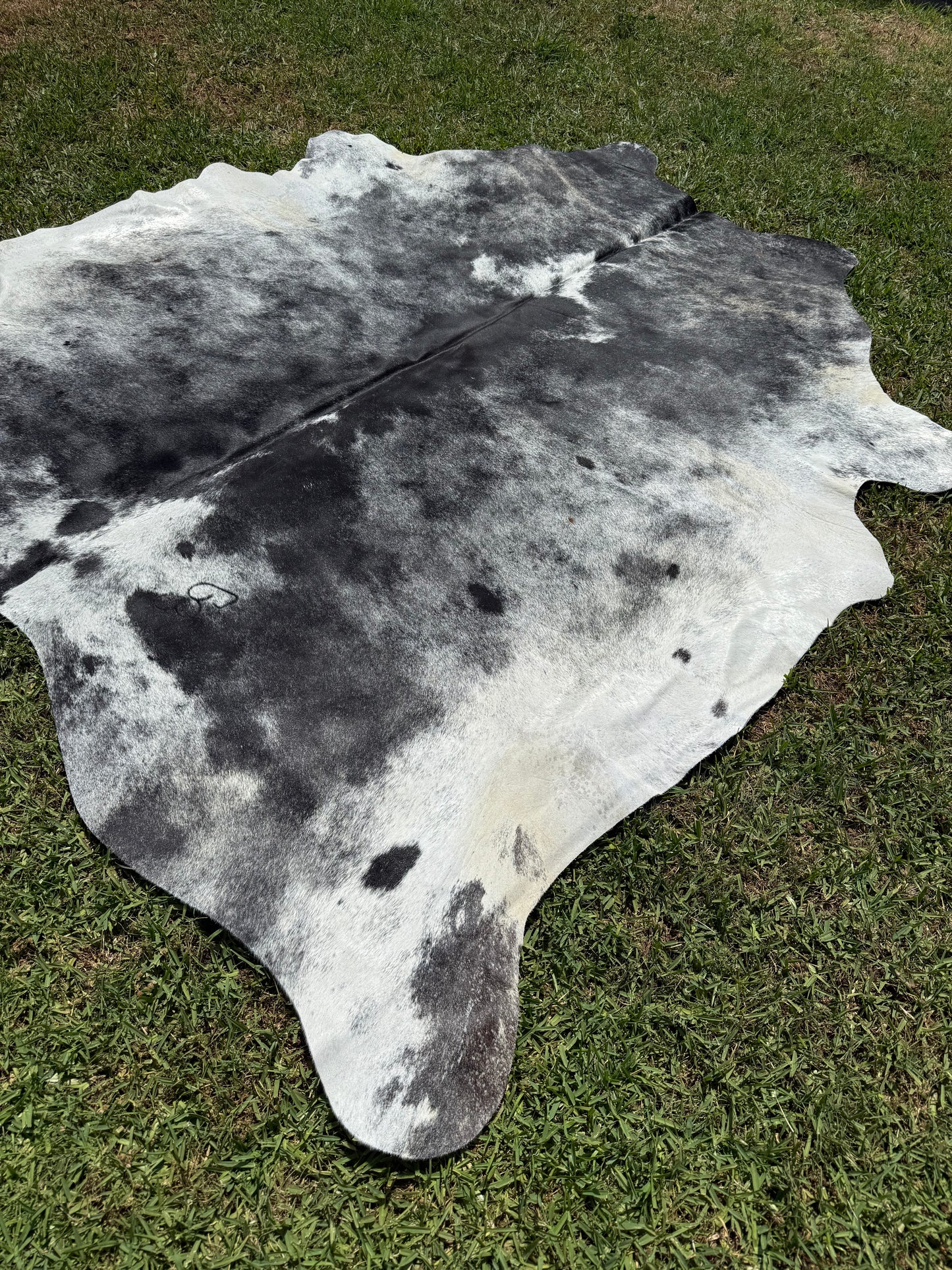 Cowhide Rug 361
