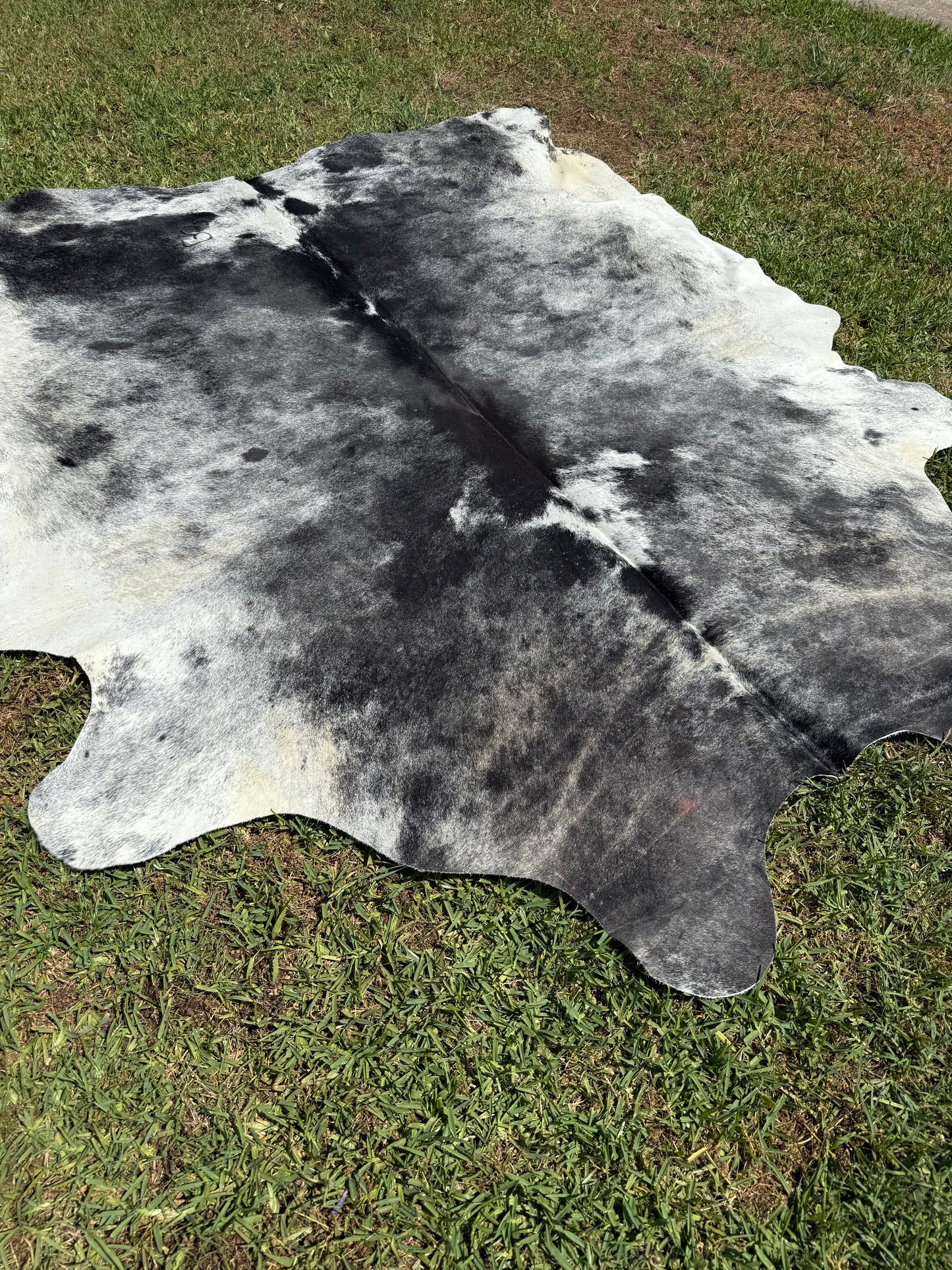 Cowhide Rug 361