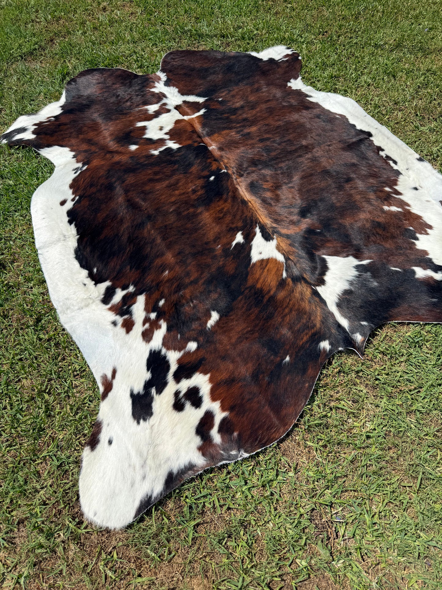 Cowhide Rug 363