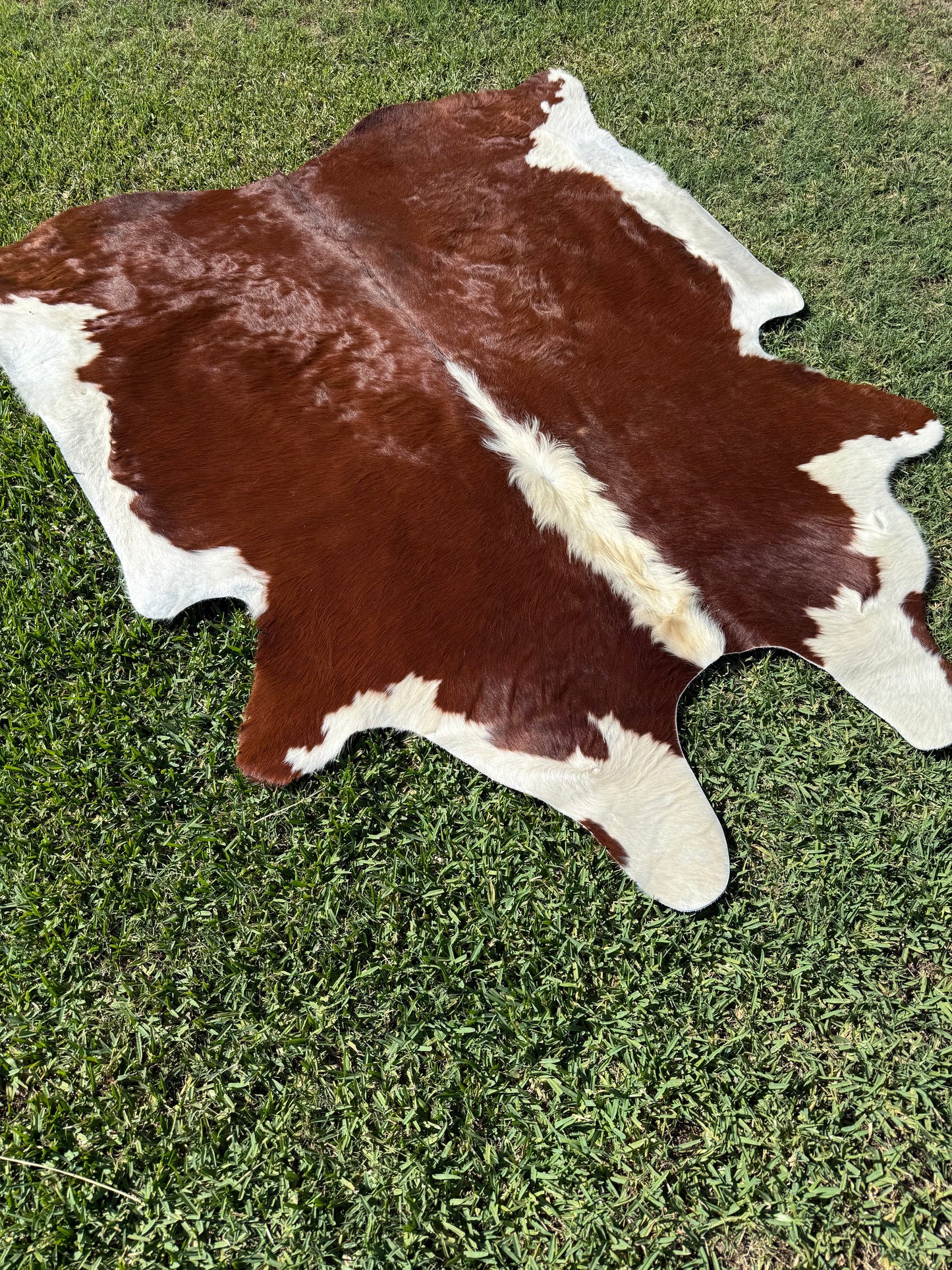 Cowhide Rug 371