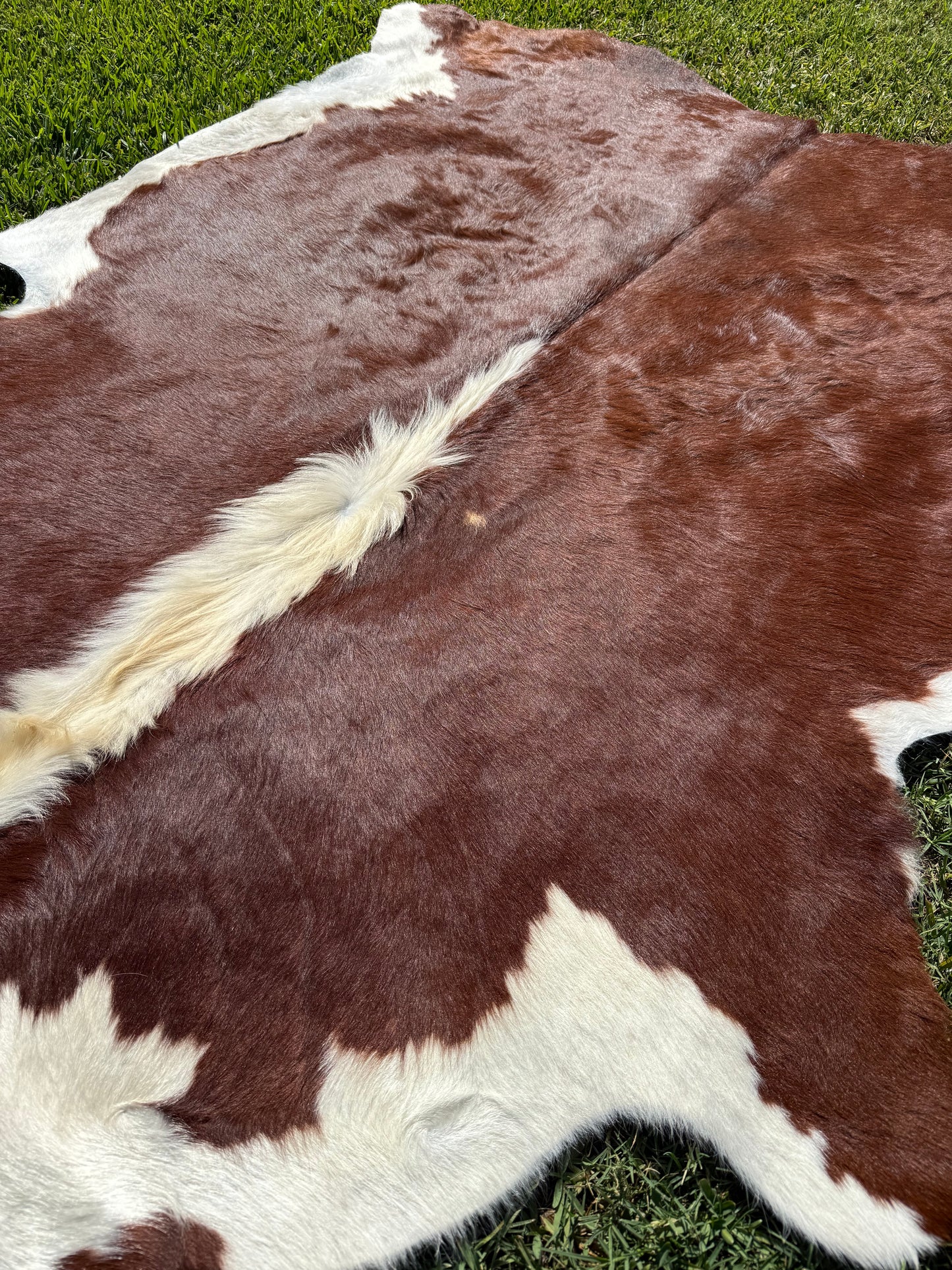 Cowhide Rug 371