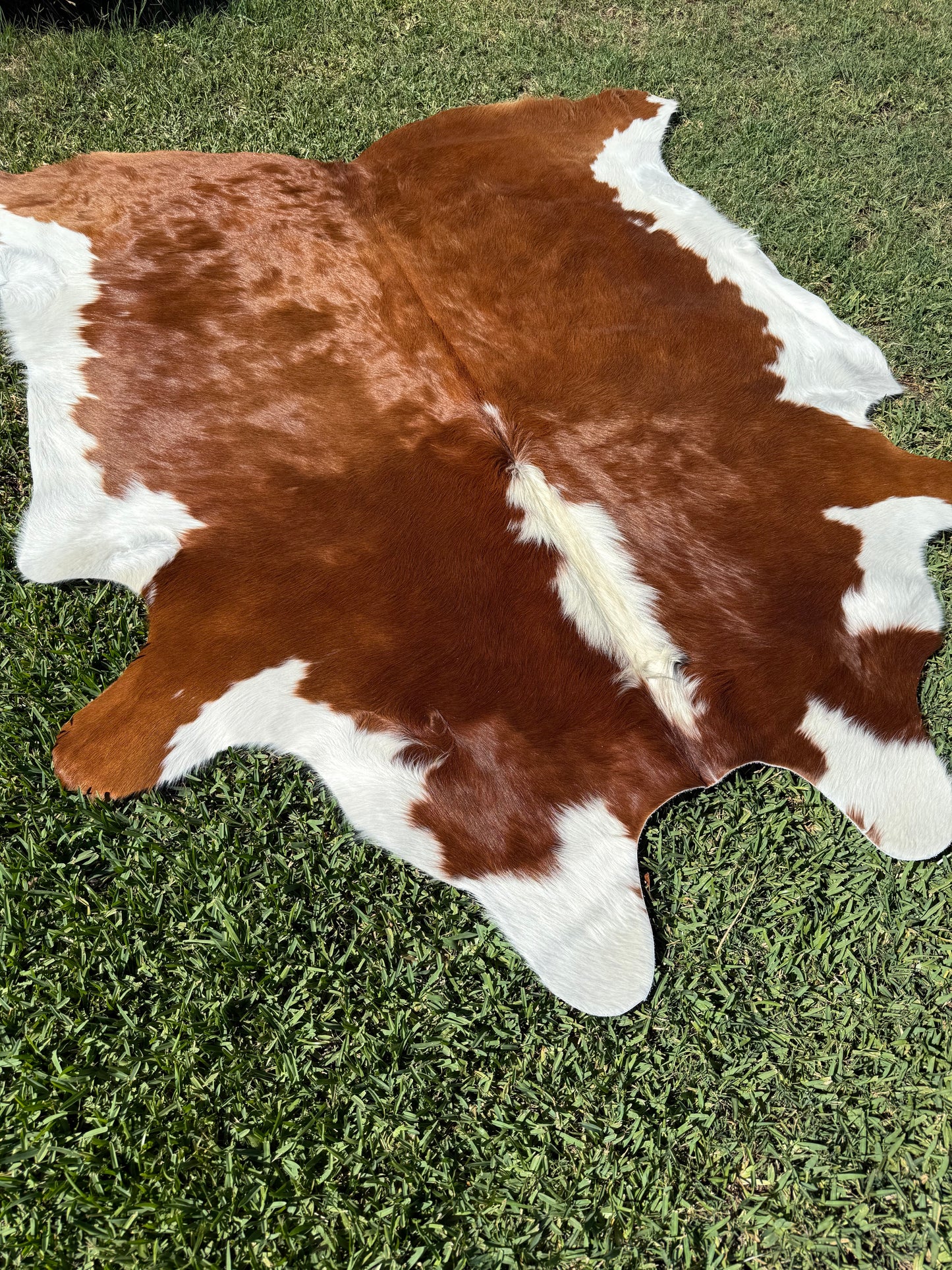 Cowhide Rug 372