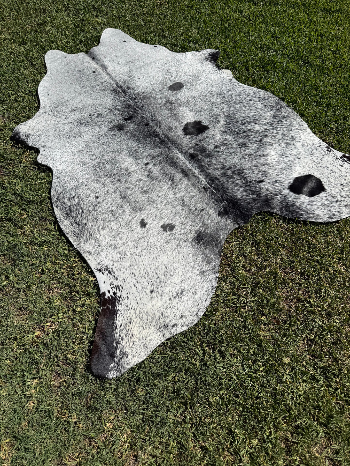 Cowhide Rug 374 - Small