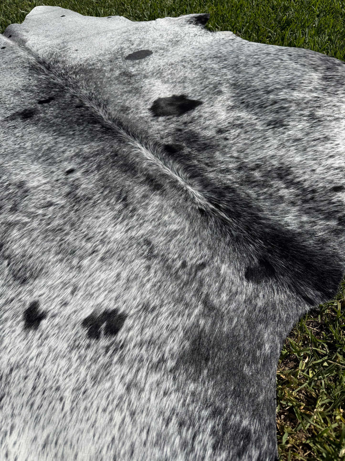 Cowhide Rug 374 - Small