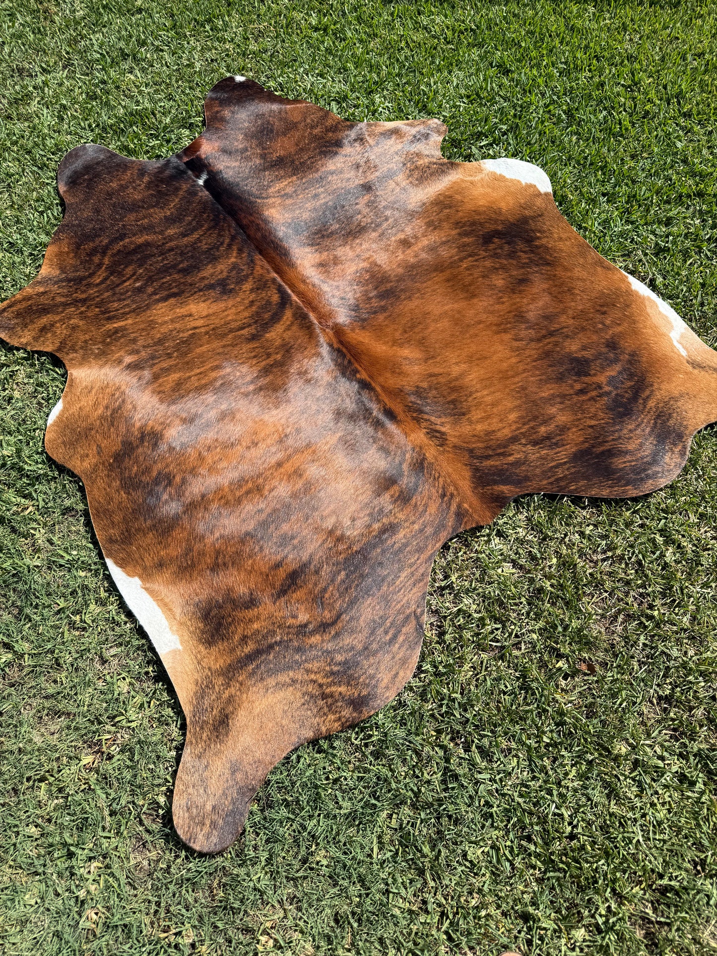 Cowhide Rug 375