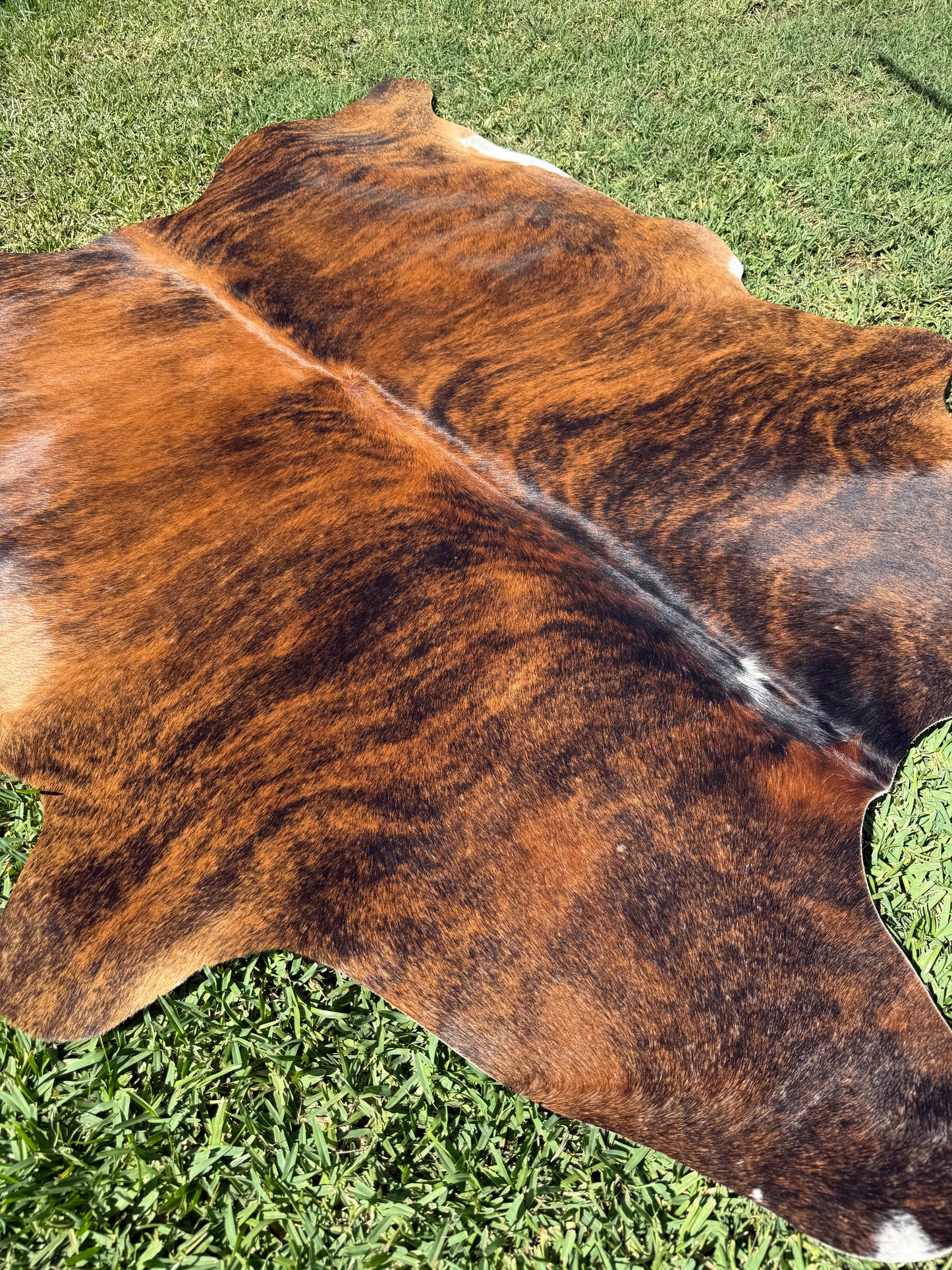 Cowhide Rug 375