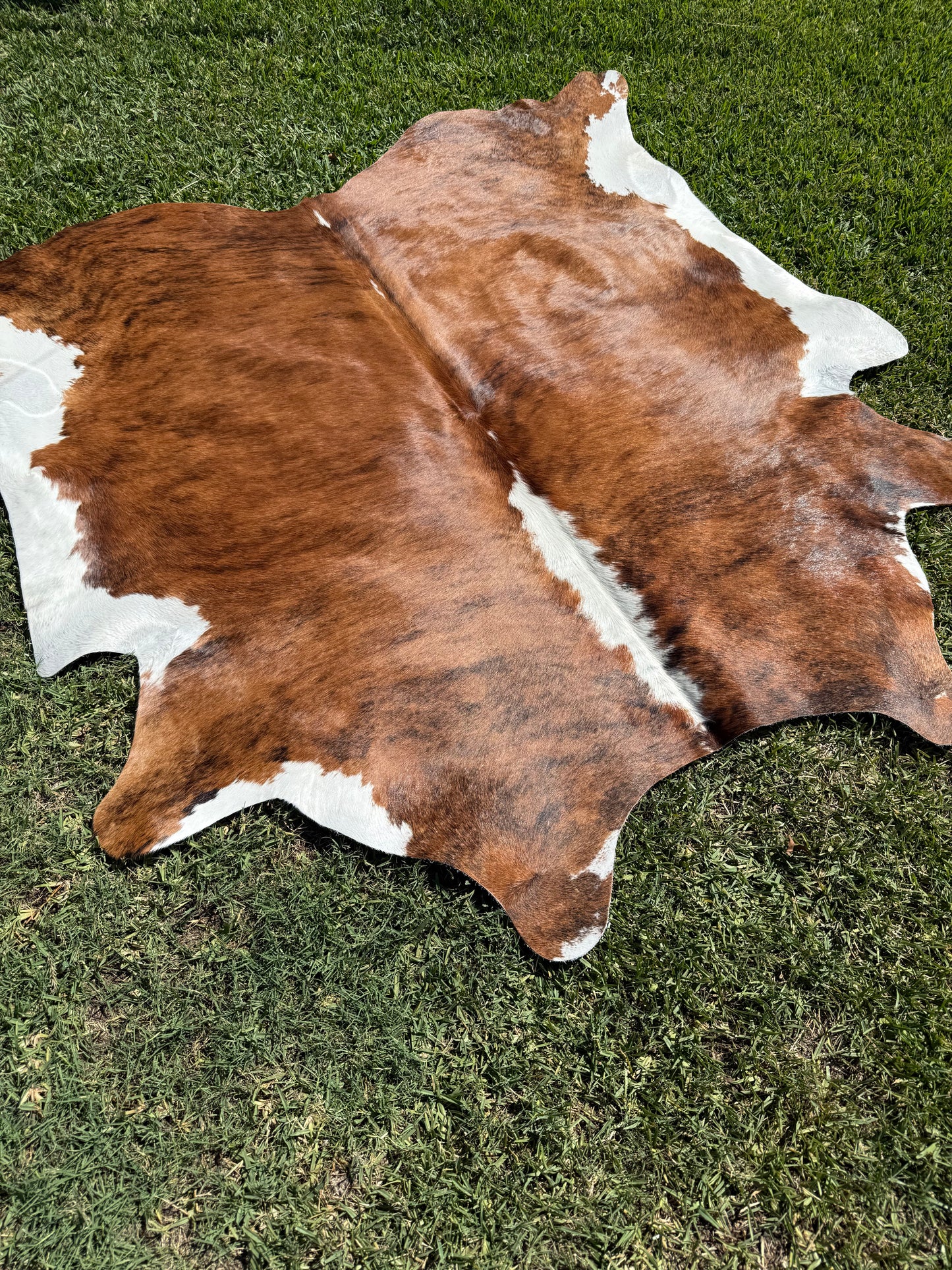 Cowhide Rug 376