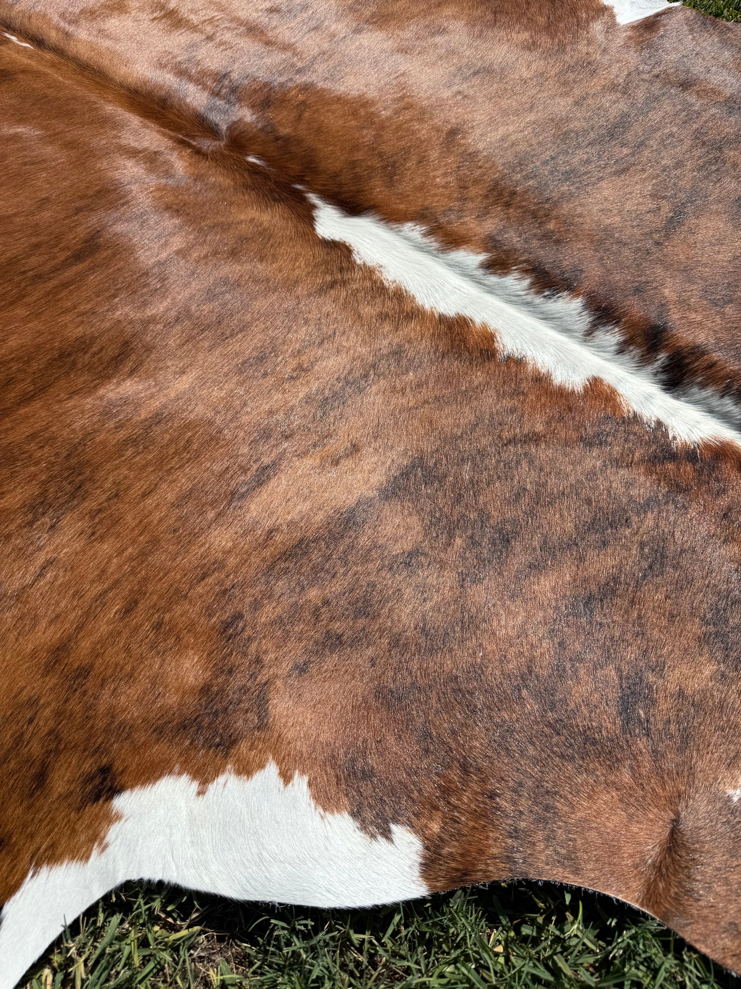 Cowhide Rug 376
