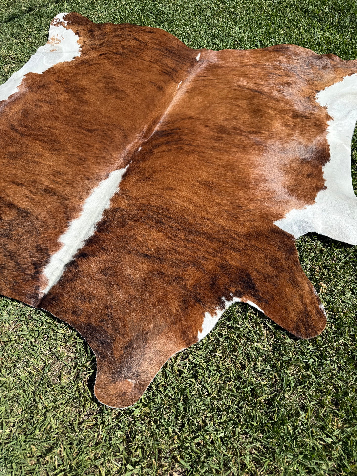 Cowhide Rug 376