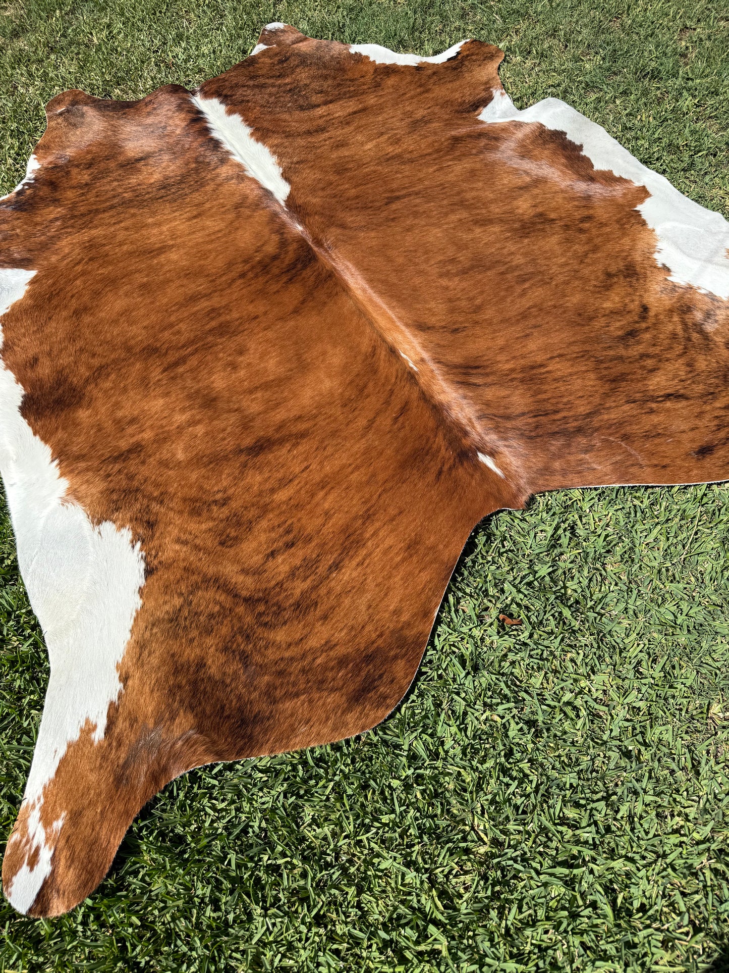 Cowhide Rug 376