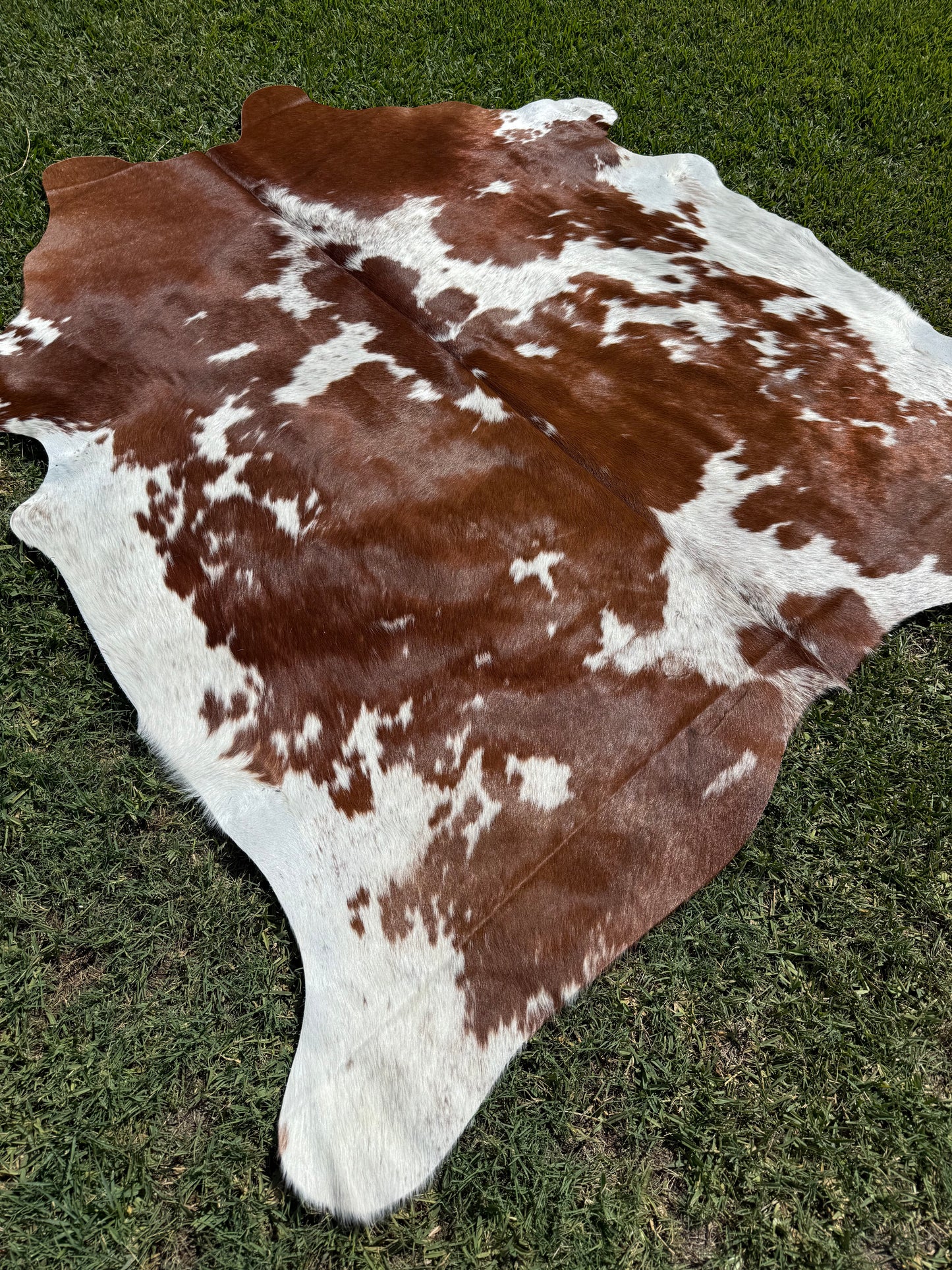 Cowhide Rug 378