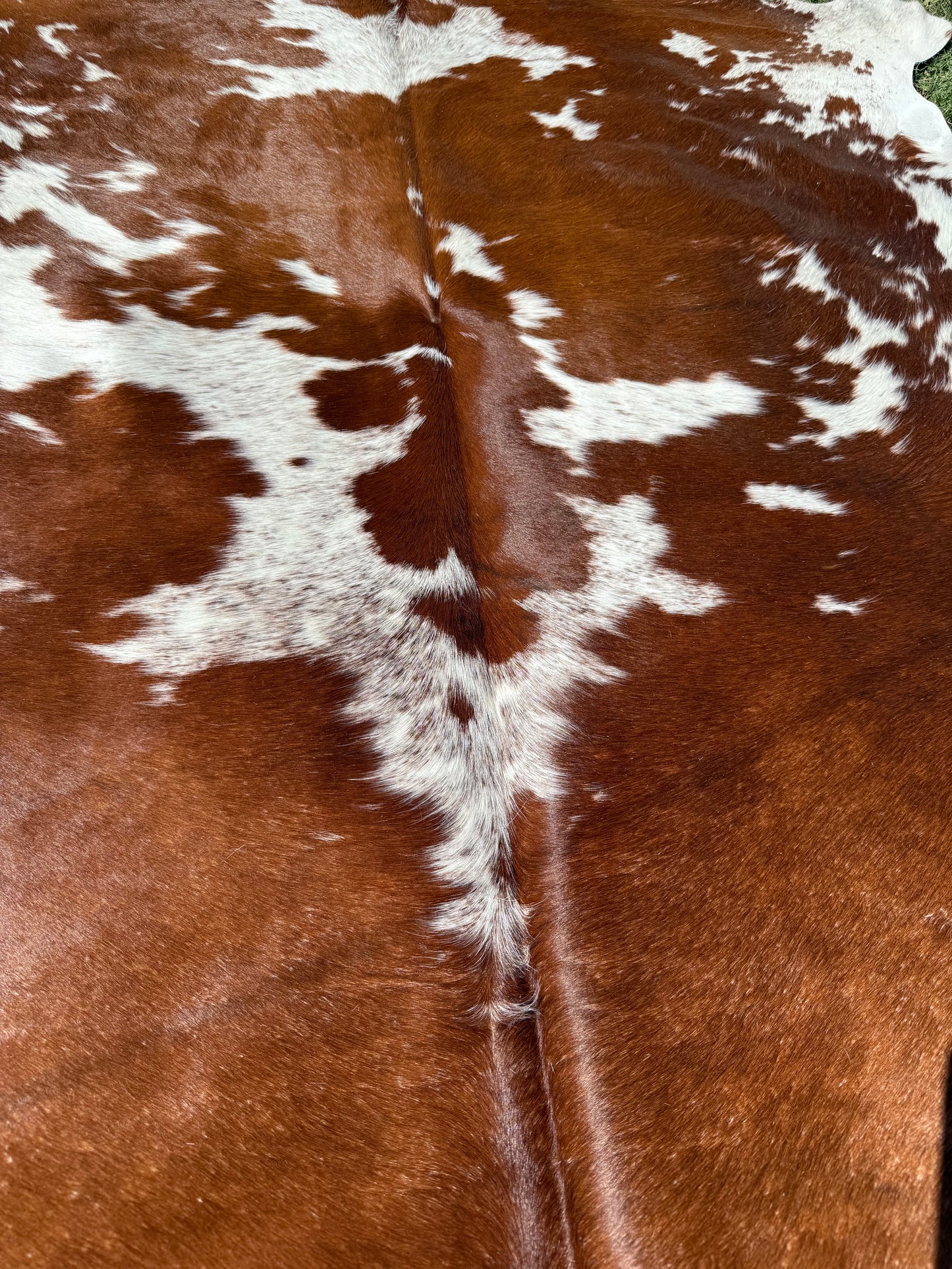 Cowhide Rug 378