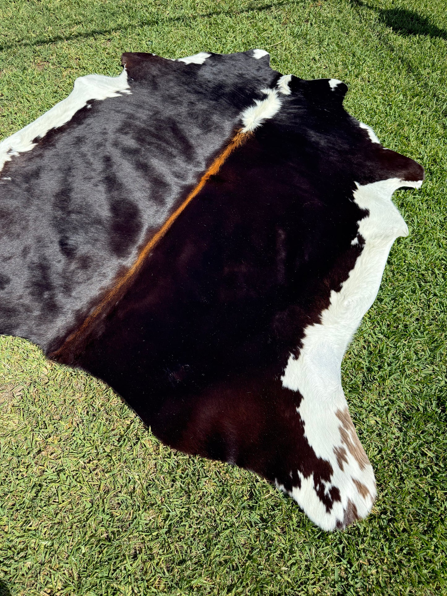 Cowhide Rug 380