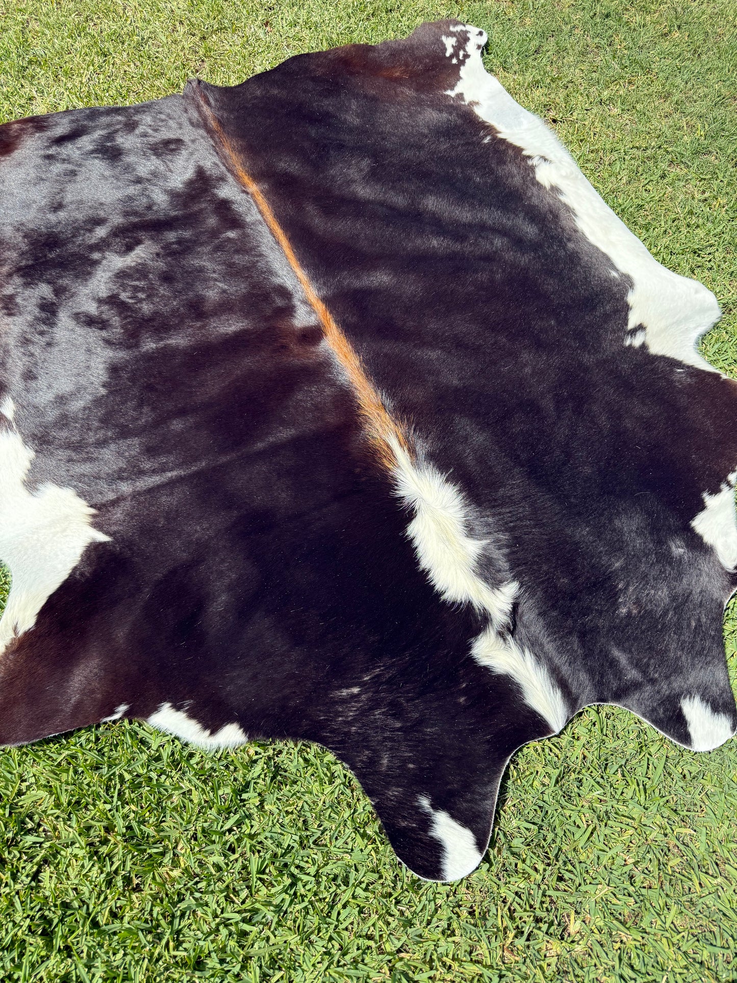 Cowhide Rug 380