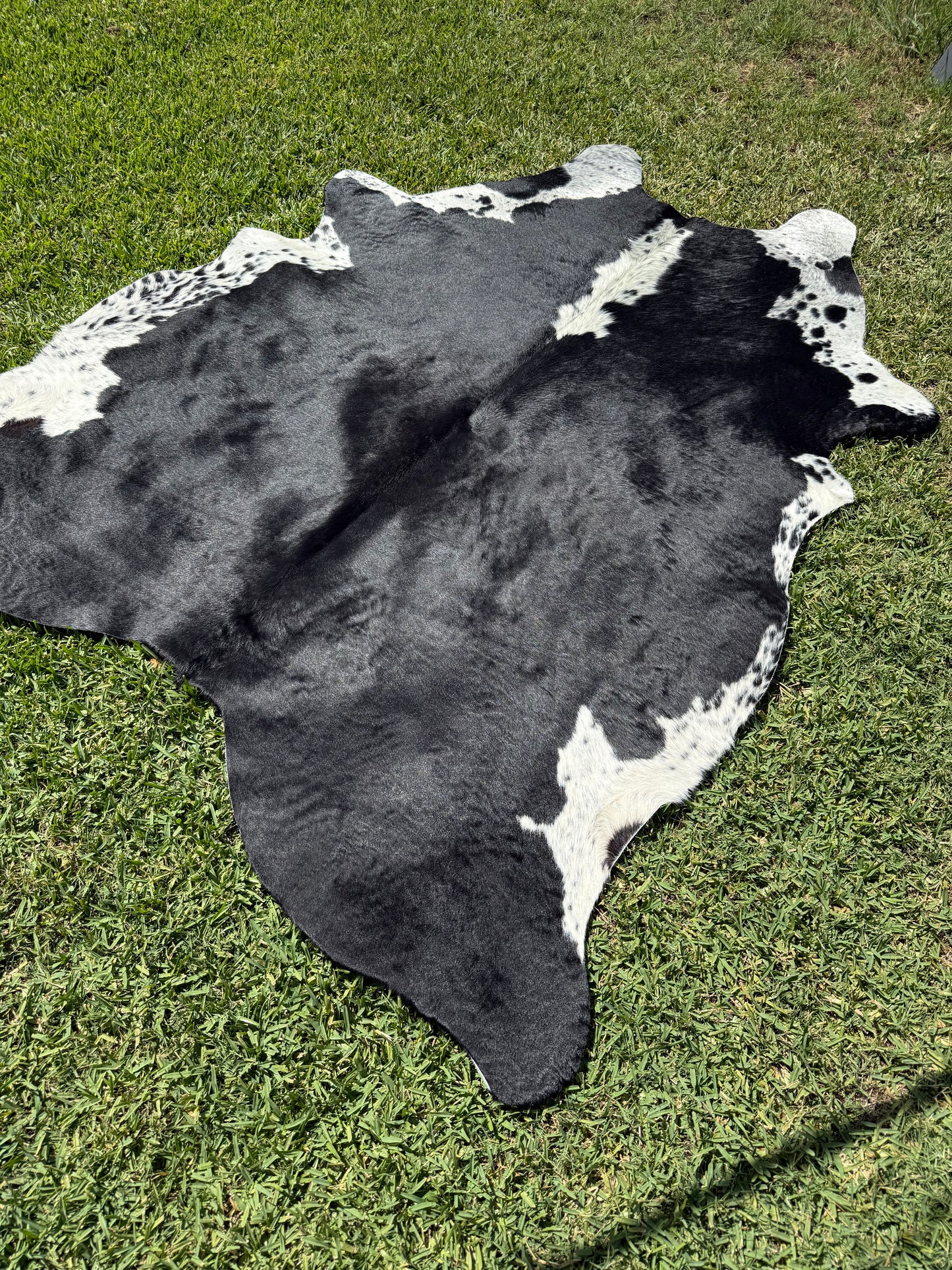 Cowhide Rug 382