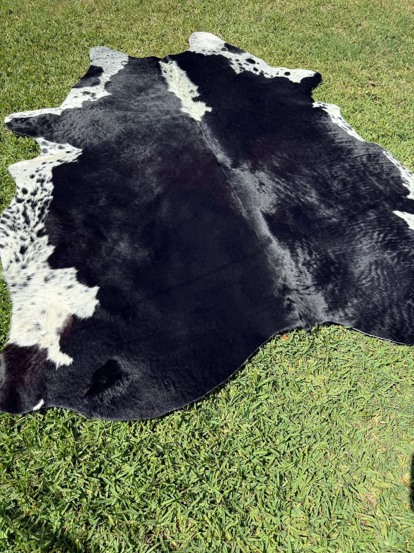 Cowhide Rug 382