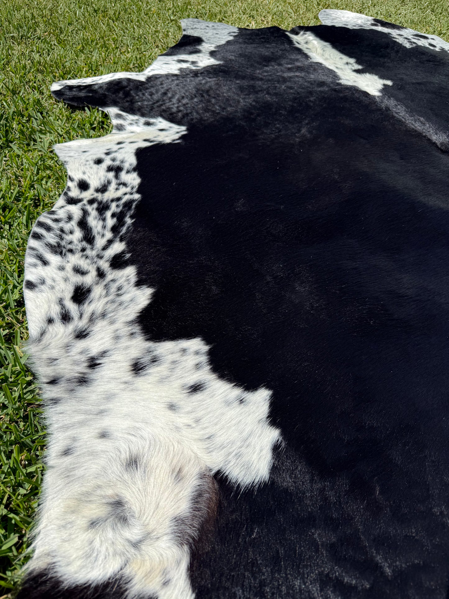 Cowhide Rug 382
