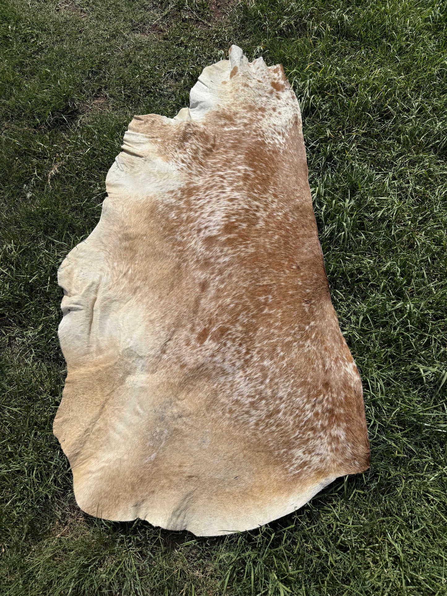 Craft hide side - 60