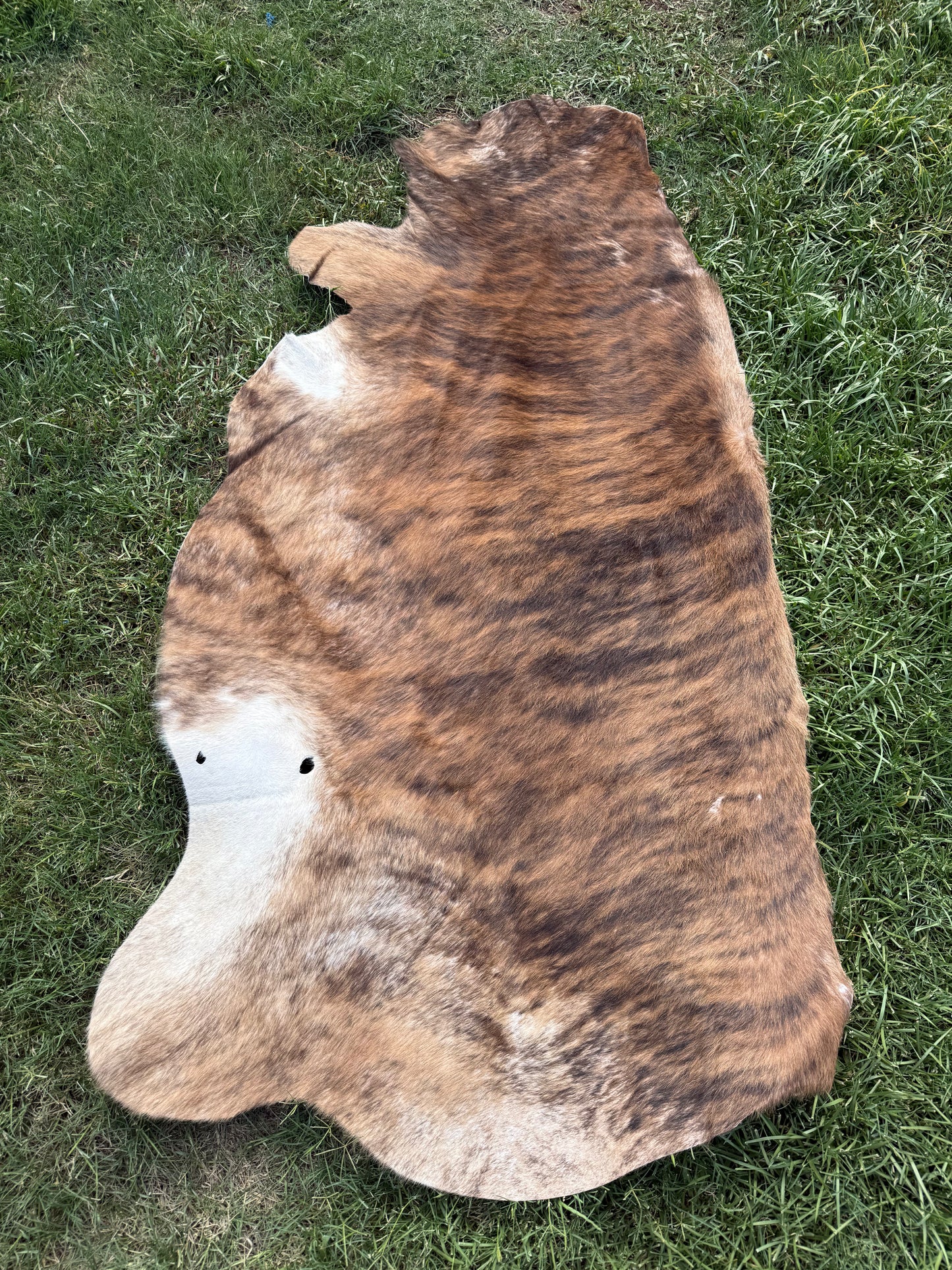 Craft hide side - 61