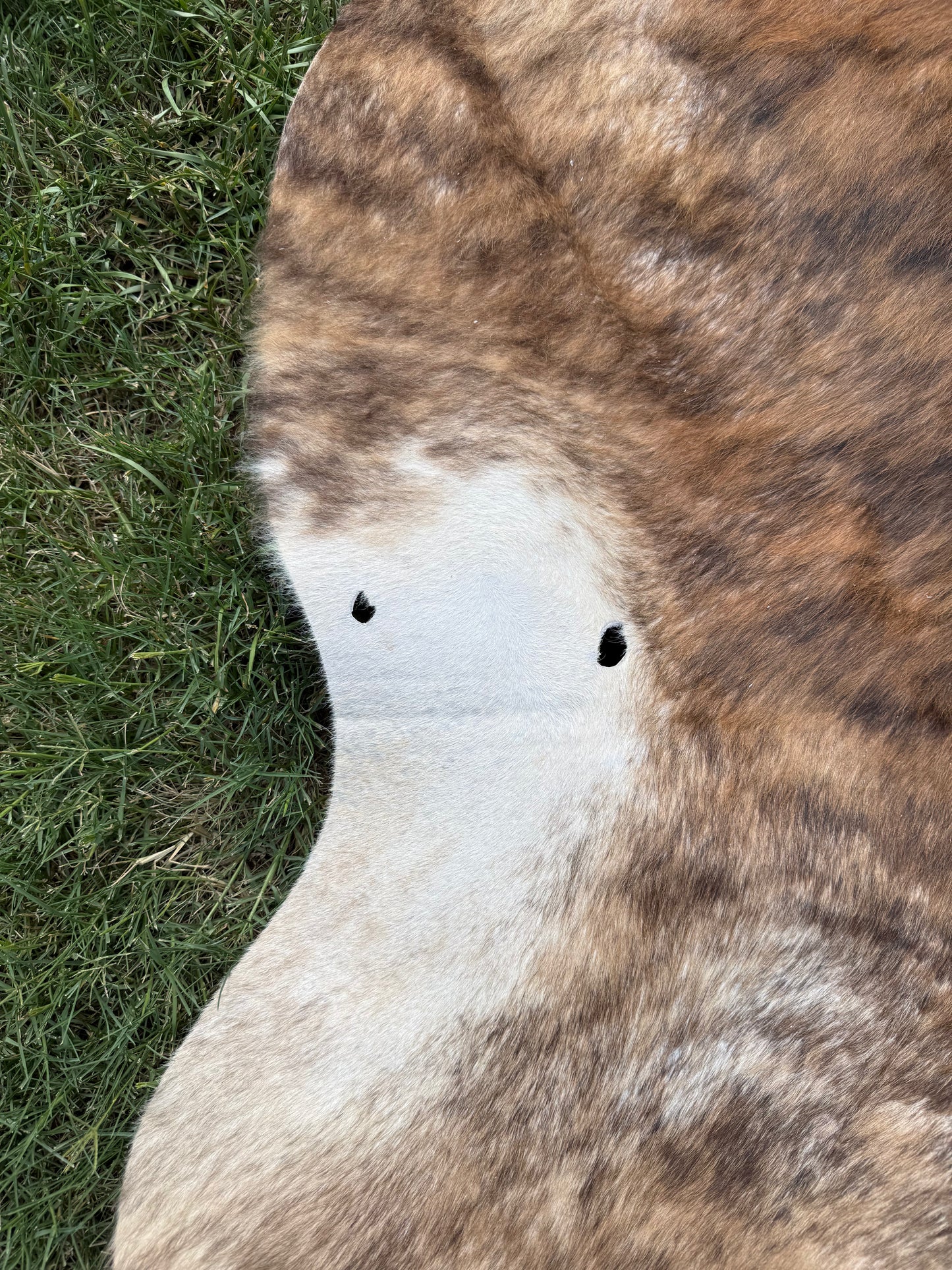 Craft hide side - 61