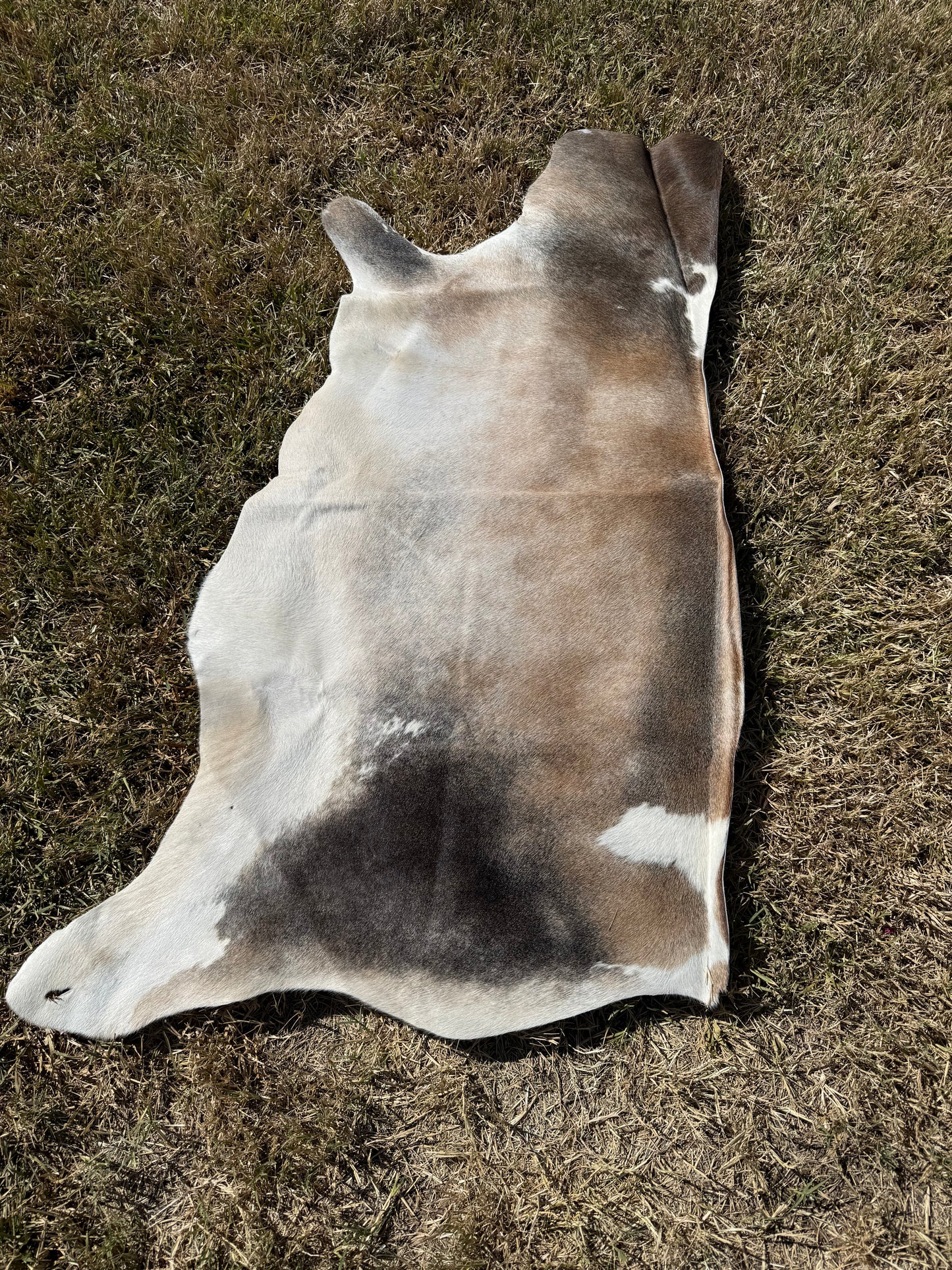 Craft hide side - 88