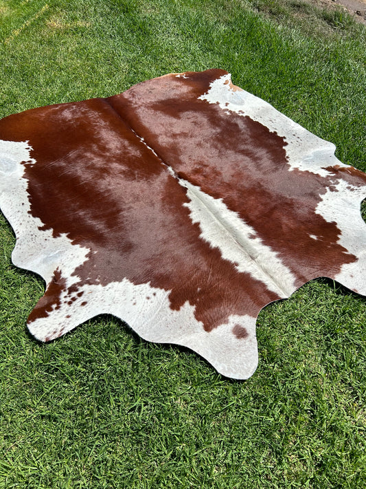 Cowhide Rug 238