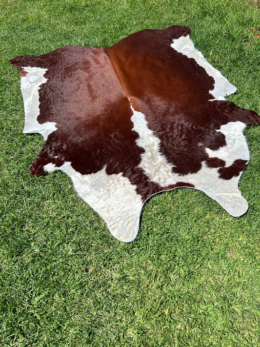 Cowhide Rug 241