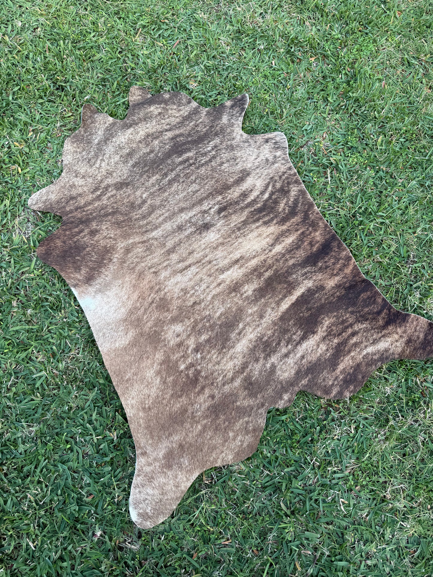 Mini Cowhide 3