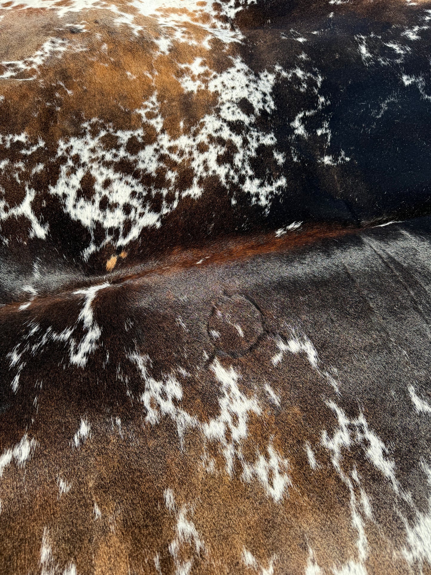 Cowhide Rug 329