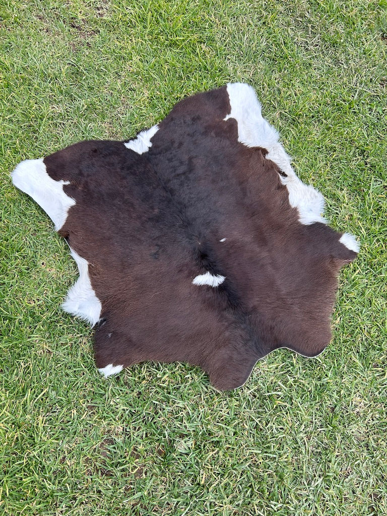 Calf Hide 37